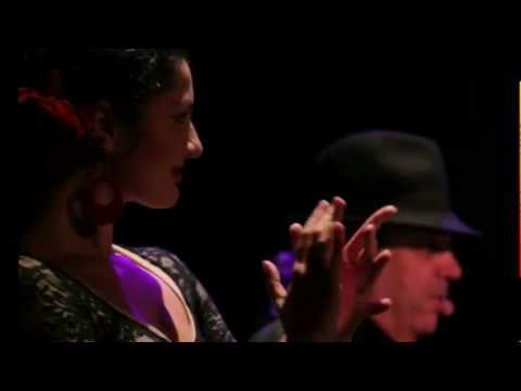 Video: Veličanstvena flamenko predstava u BKC-u 14. marta