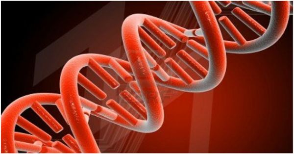 Konoplja popravlja oštećenu DNK?