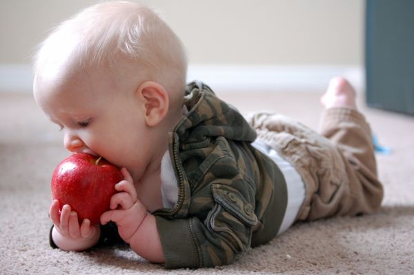 Bebe: Biološki programirane da ih privlače namirnice koje sadrže so i šećer